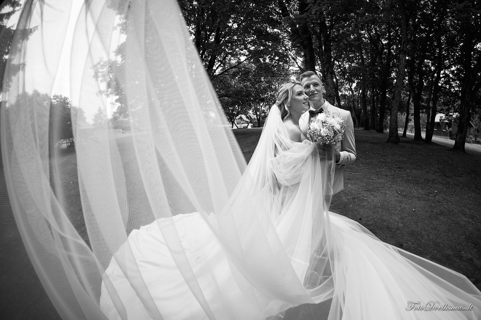 vestuvių fotografas, vestuvių fotografai, vestuvių nuotraukos, vestuvių fotosesija